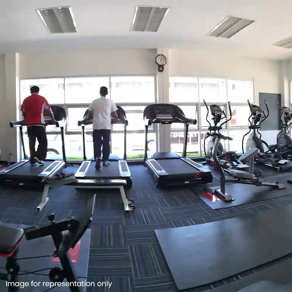 Well-equipped--gymnasium